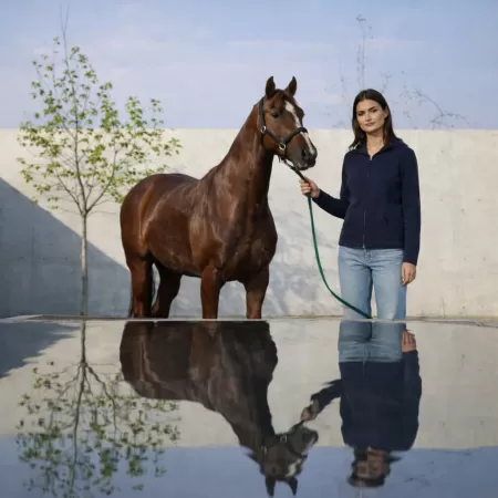 Cashmere Zip Hoodie Navy Blue
