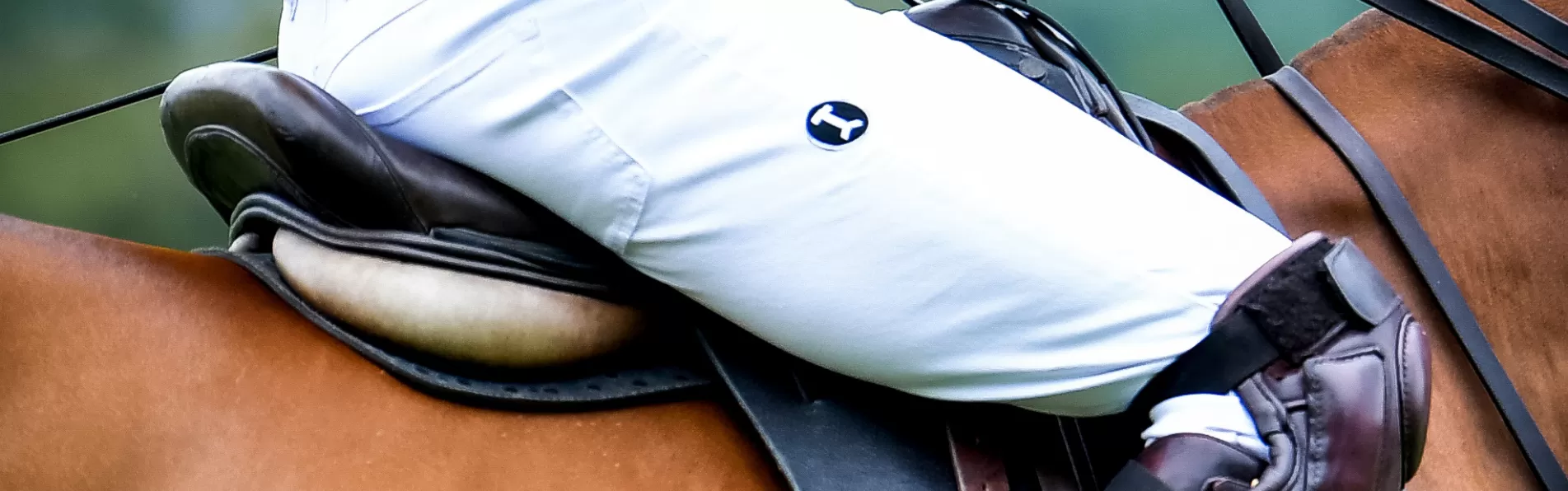 image/cache/wp/gp/blog/BANNER/POLO%20TROUSERS-1903x596.webp image/cache/wp/gp/blog/BANNER/POLO%20TROUSERS-1903x596.webp