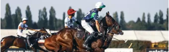 IS POLO A DIFFICULT SPORT? IS POLO A DIFFICULT SPORT?