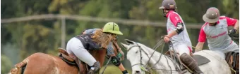 THE BENEFIT OF USING KRONO POLO ITEMS THE BENEFIT OF USING KRONO POLO ITEMS
