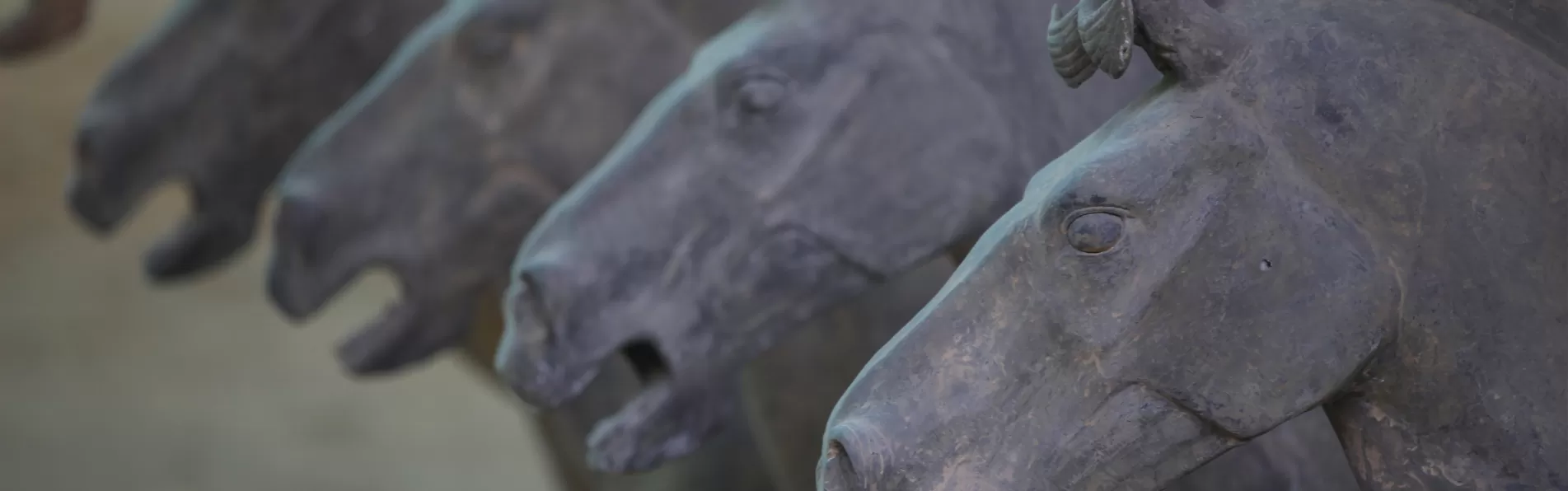 image/cache/wp/gp/blog/banner%203/history-of-polo-saddle-1903x596.webp image/cache/wp/gp/blog/banner%203/history-of-polo-saddle-1903x596.webp