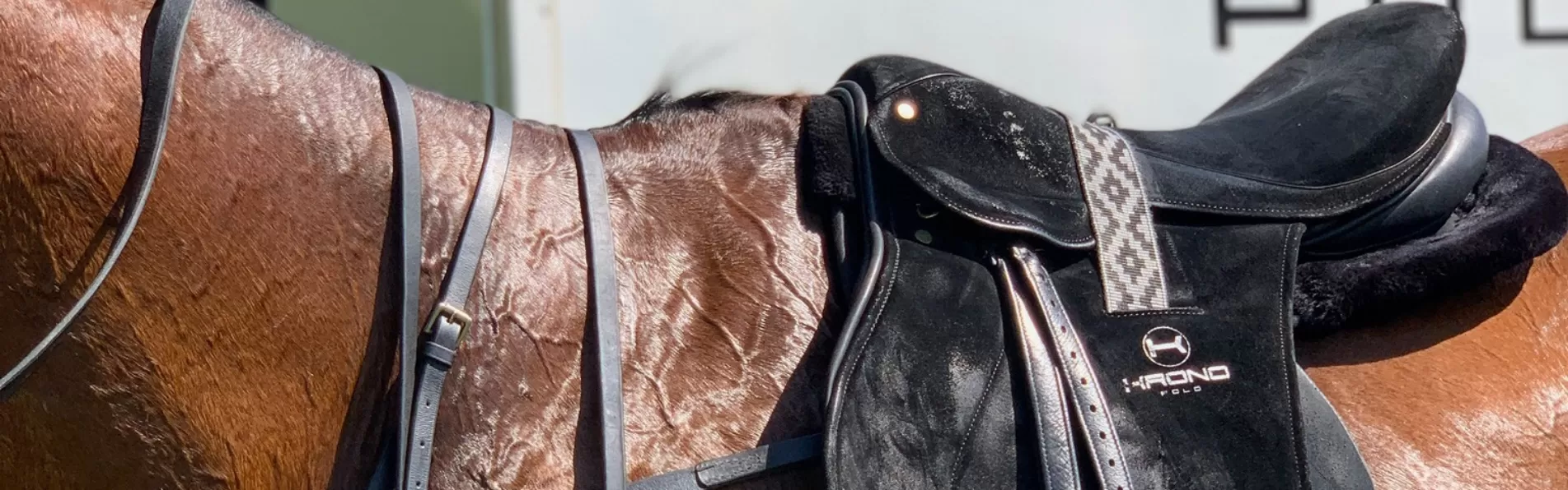 image/cache/wp/gp/blog/banner%203/krono-polo-saddle-1903x596.webp