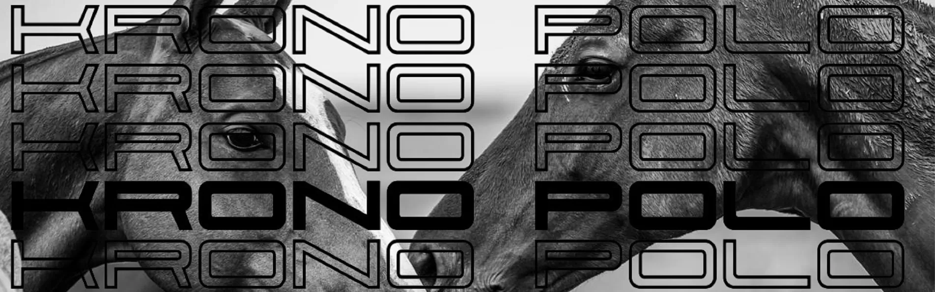 image/cache/wp/gp/blog/banner%203/the-polo-saddle-krono-1903x596.webp