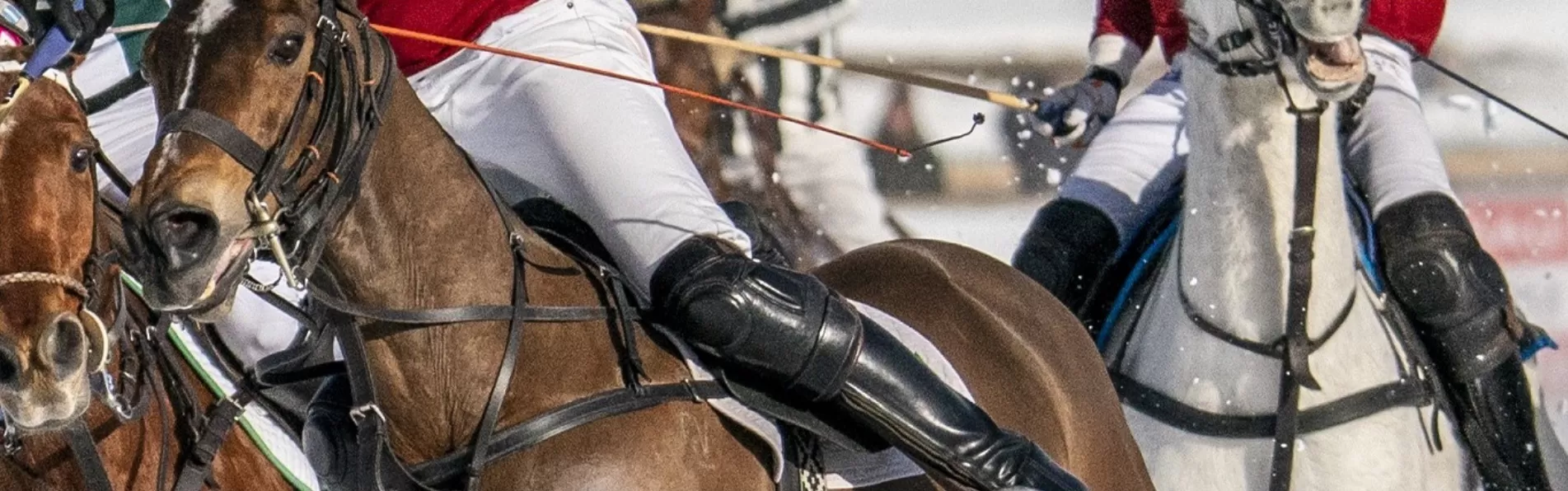 image/cache/wp/gp/kronopolo-banner/Snow%20Polo-1903x596.webp image/cache/wp/gp/kronopolo-banner/Snow%20Polo-1903x596.webp