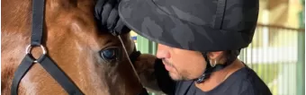 THE ART OF POLO HORSE BREEDING THE ART OF POLO HORSE BREEDING